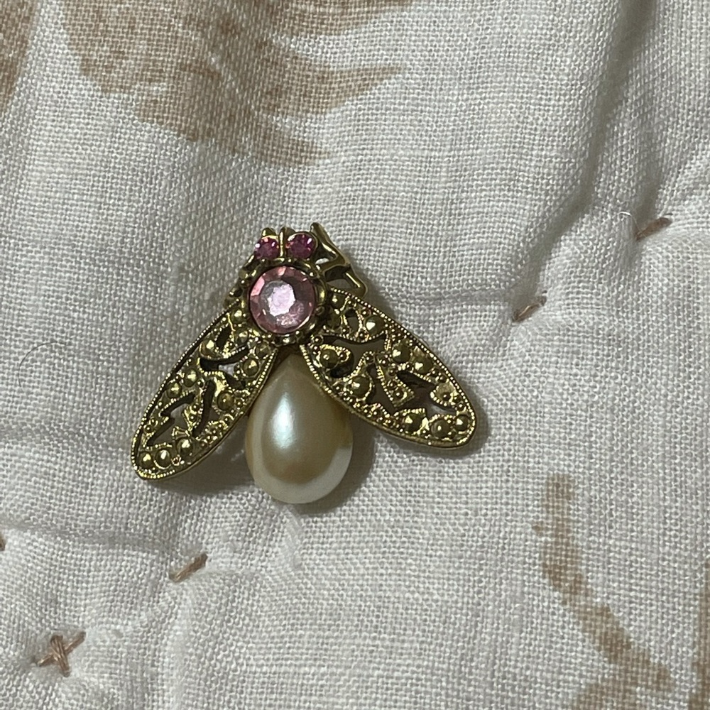 ⬇️Vintage fly brooch